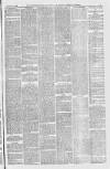 Downham Market Gazette Saturday 12 March 1881 Page 5