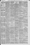 Downham Market Gazette Saturday 14 January 1882 Page 3