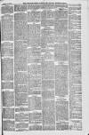 Downham Market Gazette Saturday 18 March 1882 Page 5