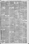 Downham Market Gazette Saturday 25 March 1882 Page 3