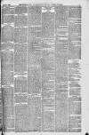 Downham Market Gazette Saturday 08 April 1882 Page 3