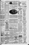 Downham Market Gazette Saturday 08 April 1882 Page 7