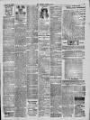 Downham Market Gazette Saturday 17 February 1900 Page 3