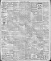 Downham Market Gazette Saturday 07 January 1905 Page 5