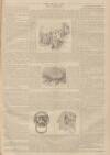 Million Saturday 14 May 1892 Page 7