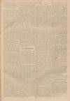 Million Saturday 16 July 1892 Page 5