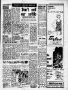 Bristol Evening Post Thursday 04 March 1965 Page 31