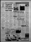 Bristol Evening Post Saturday 07 July 1984 Page 5