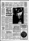 Bristol Evening Post Tuesday 03 March 1987 Page 5