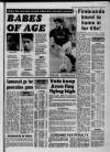 Bristol Evening Post Wednesday 15 February 1989 Page 53