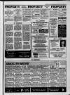 Bristol Evening Post Wednesday 22 February 1989 Page 45