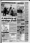 Bristol Evening Post Friday 18 August 1989 Page 71