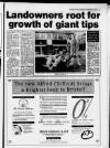 Bristol Evening Post Thursday 14 December 1989 Page 13