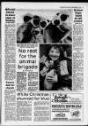 Bristol Evening Post Friday 22 December 1989 Page 13