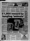 Bristol Evening Post Wednesday 06 June 1990 Page 5