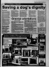 Bristol Evening Post Friday 08 June 1990 Page 13