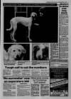 Bristol Evening Post Monday 24 December 1990 Page 5