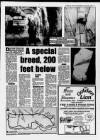 Bristol Evening Post Wednesday 06 March 1991 Page 9