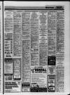 Bristol Evening Post Thursday 20 June 1991 Page 33