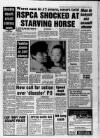 Bristol Evening Post Wednesday 04 September 1991 Page 5