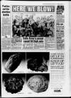Bristol Evening Post Wednesday 02 October 1991 Page 15