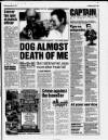 Bristol Evening Post Wednesday 04 June 1997 Page 19