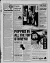 Bristol Evening Post Wednesday 22 October 1997 Page 19