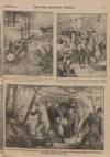 War Pictures Weekly and the London Illustrated Weekly Thursday 03 September 1914 Page 5