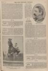 War Pictures Weekly and the London Illustrated Weekly Thursday 01 October 1914 Page 9