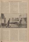 War Pictures Weekly and the London Illustrated Weekly Thursday 22 October 1914 Page 15