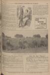 War Pictures Weekly and the London Illustrated Weekly Thursday 05 November 1914 Page 17