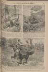 War Pictures Weekly and the London Illustrated Weekly Thursday 19 November 1914 Page 7