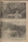 War Pictures Weekly and the London Illustrated Weekly Thursday 19 November 1914 Page 13