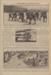 War Pictures Weekly and the London Illustrated Weekly Thursday 14 January 1915 Page 3