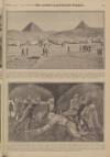 War Pictures Weekly and the London Illustrated Weekly Thursday 14 January 1915 Page 13