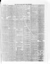 Stratford-upon-Avon Herald Friday 01 November 1872 Page 3
