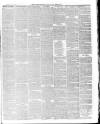 Stratford-upon-Avon Herald Friday 03 March 1876 Page 3