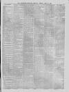 Stratford-upon-Avon Herald Friday 14 May 1880 Page 7