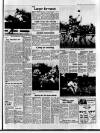 Stratford-upon-Avon Herald Friday 08 January 1988 Page 29