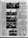 Stratford-upon-Avon Herald Friday 22 January 1988 Page 29