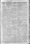 Berkshire Chronicle Thursday 01 January 1914 Page 5