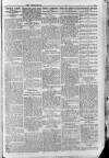 Berkshire Chronicle Saturday 03 January 1914 Page 5
