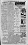 Berkshire Chronicle Friday 05 March 1915 Page 13