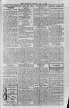 Berkshire Chronicle Friday 21 May 1915 Page 11