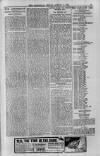 Berkshire Chronicle Friday 06 August 1915 Page 3