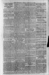 Berkshire Chronicle Friday 18 February 1916 Page 7