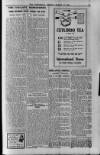 Berkshire Chronicle Friday 17 March 1916 Page 17