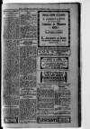 Berkshire Chronicle Friday 02 March 1917 Page 3