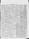 Dunstable Gazette Wednesday 09 July 1873 Page 3