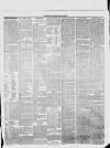 Dunstable Gazette Wednesday 30 July 1873 Page 3